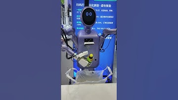 Robot Packs Groceries Like a Pro!