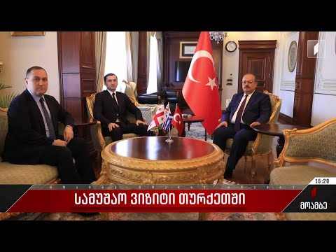 სამუშაო ვიზიტი თურქეთში