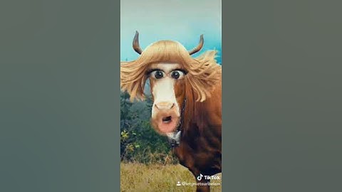 Thumbnail of La vaca Lola