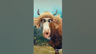 La vaca Lola