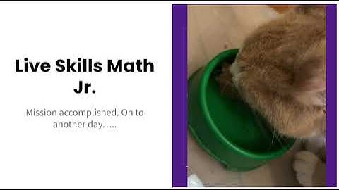 Live Skills Math Jr  Goals Video