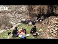 Nomadic life and cooking food for lunch, Iran...