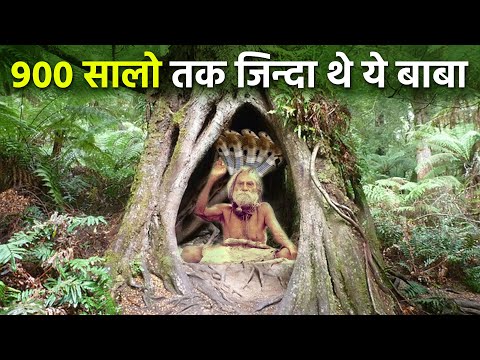 वीडियो: रेडियो होस्ट कैसे बनें: टिप्स और ट्रिक्स