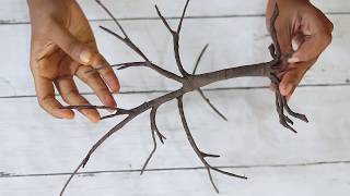 Cherry blossom | bonsai plant with paper |