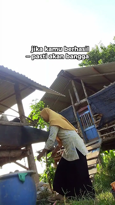 Wanita juga bisa jadi peternak kambing #peternak #kambing #kambingmakan
