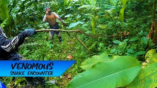 Venomous Snake Encounter, Trinidad and Tobago, Episode 1