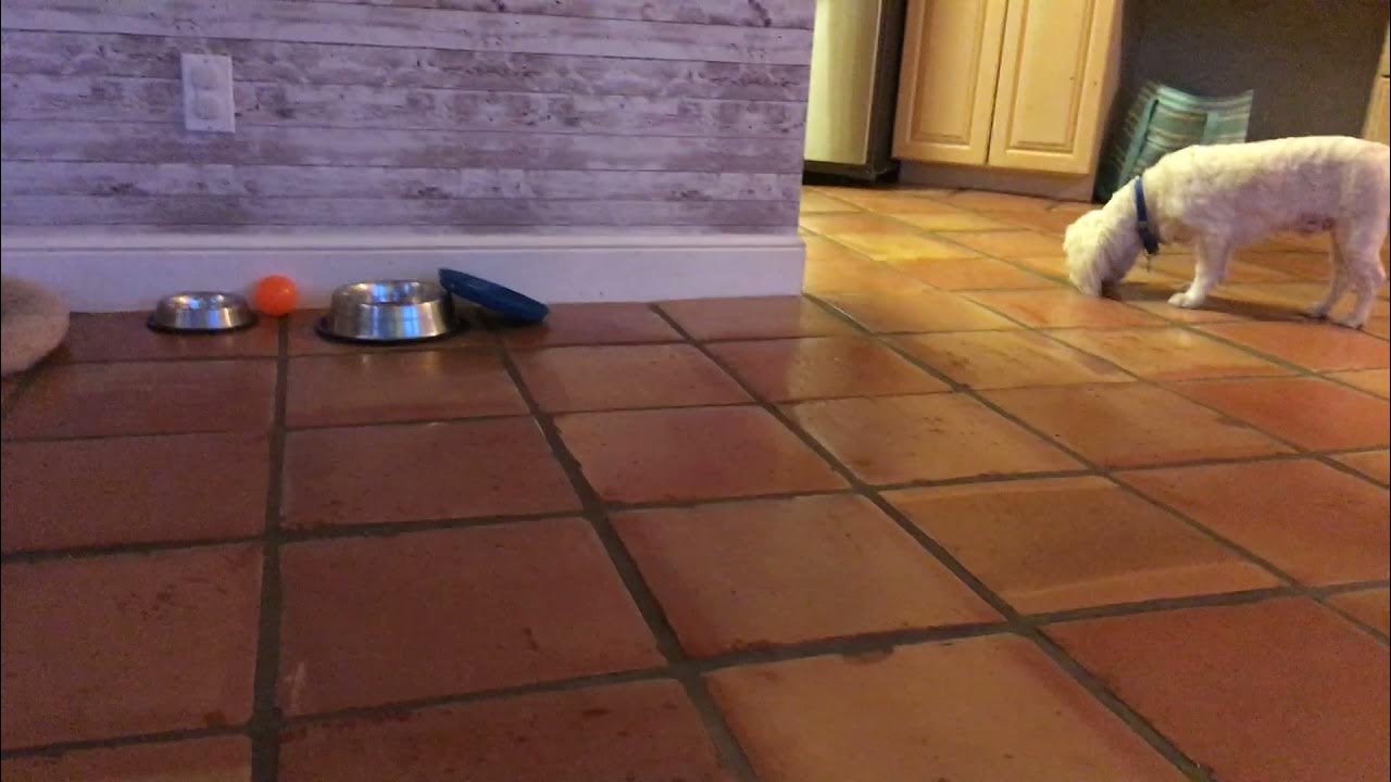 How To make. Circle ice cubes YouTube