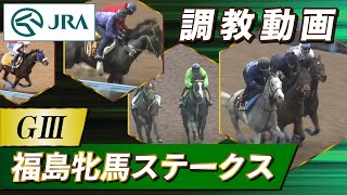【調教動画】2024年 福島牝馬ステークス｜JRA公式
