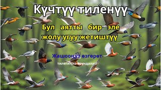 видео: Оомат жана берекени чакырган Кудайдын сөзү картинка: Оомат жана берекени чакырган Кудайдын сөзү