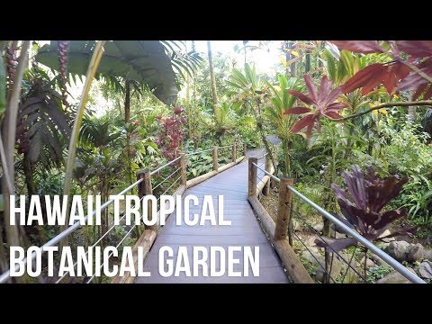Video: Maui's Botanical Gardens zeigt Hawaiis Blumenspender