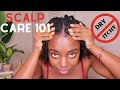 The Best Scalp Care Tips For FAST Growing Natural Hair