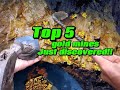 crazy😱😱 5 signs to recognize where gold appears