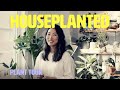 Inside a home that doubles as a houseplant rehab  houseplanted