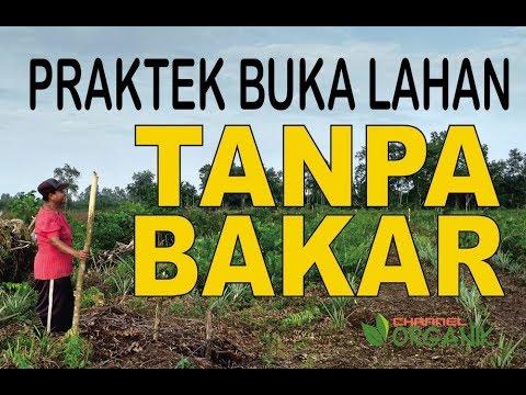 Video: Cara Membuka Pusat Kebun