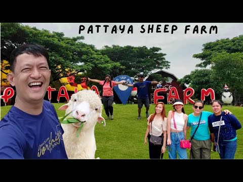 Pattaya Sheep Farm | ฟาร์มแกะพัทยา