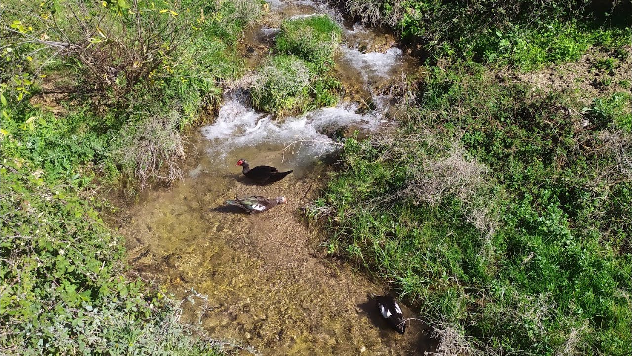 أروكو جنان اماس أسول خنيفرة