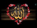 Любовь к Аллаhу | Тулкын хазрат