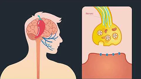 Science in 60 Seconds Episode 2: Hot Peppers