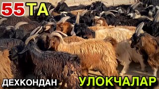 видео: 55 ТА УЛОКЧАЛАР СОТИЛАДИ ДЕХКОНДАН!  картинка: 55 ТА УЛОКЧАЛАР СОТИЛАДИ ДЕХКОНДАН!
