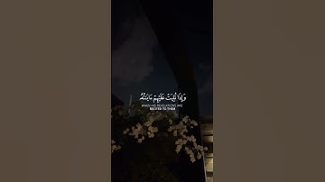إنما المؤمنون الذين إذا ذكر الله وجلت قلوبهم القارئ:#محمد_اللحيدان #قرآن #اكسبلور #راحة_نفسية