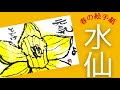 【春の絵手紙】水仙の花の描き方　初心者向け　簡単な絵手紙　絵手紙基礎　春の花シリーズ