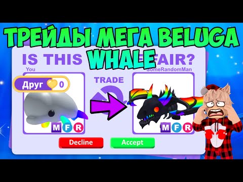 Видео: ТРЕЙДЫ МЕГА BELUGA WHALE В АДОПТ МИ РОБЛОКС TRADE MEGA BELUGA WHALE ROBLOX ЧТО ДАЮТ ЗА БЕЛУГУ