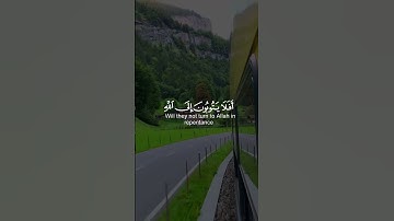 افلا يتوبون الى الله || القارئ عبدالرحمن مسعد سورة (المائدة) اية 74