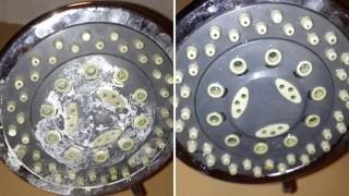 How to clean the shower head