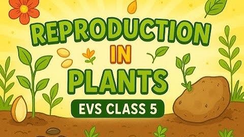 Reproduction in Plants EVS class 5 
