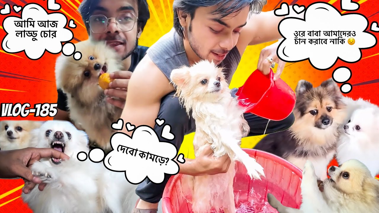 লাড্ডু চুরি হয়ে গেছে 😲😩