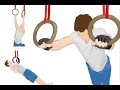 Крутые упражнения на кольцах! О которых возможно Ты не знал! Ring Basics for CrossFit