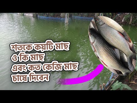 ভিডিও: ঝাড়ু মাছ খাওয়ানোর 3 টি উপায় ‐ ঝাড়ু