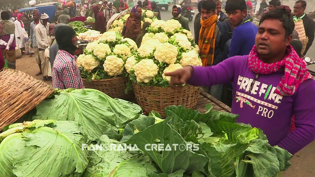 নরসিংদীর আড়িয়াল খাঁ নদীর পাড়ে জংলী শিবপুর বাজার || @PanoramaHaatBazar