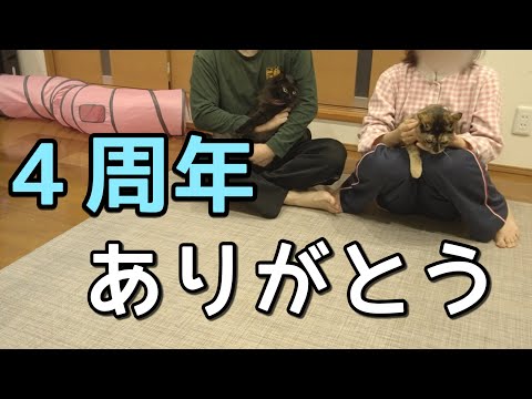 4年間ありがとうございました記念にズボラ主婦がケーキ作りに挑戦した結果