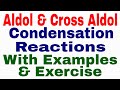 Aldol and Cross Aldo Condensation Reaction || Reactions of aldhedyde and Ketones || alpha hydrogen