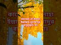 কালেমা-লা ইলাহা ইল্লাল্লাহু মুহাম্মাদুর রাসুলুল্লাহ সাঃ #shorts