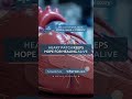 🧪 Heart patch keeps hope for healing alive