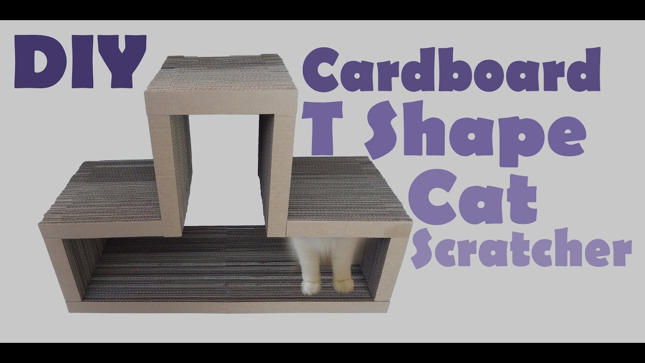 DIY T Shape Cardboard Cat Scratcher YouTube