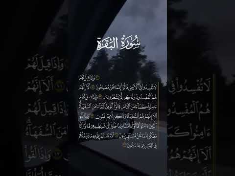 سورة البقرة من اية 11 الى 15