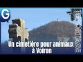 Ref:BtcvpSNLdkE Reportage - un cimeti�re pour animaux � voiron - video