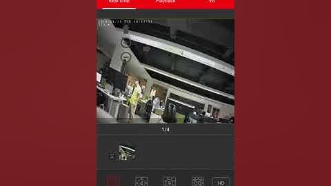 Bitdog Mobile App Setup
