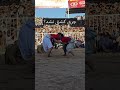 مسابقه ملا میرویس و محب 