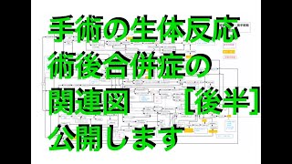 後半［成人看護学実習対策］生体反応を理解して観察しよう