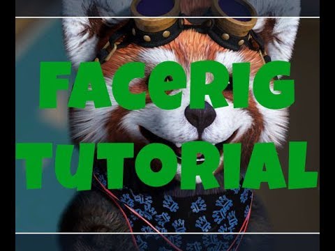 How to use FaceRig on Skype. | Doovi