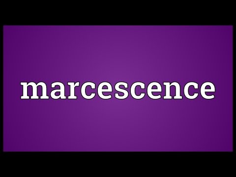 Vídeo: O que significa marcescência?