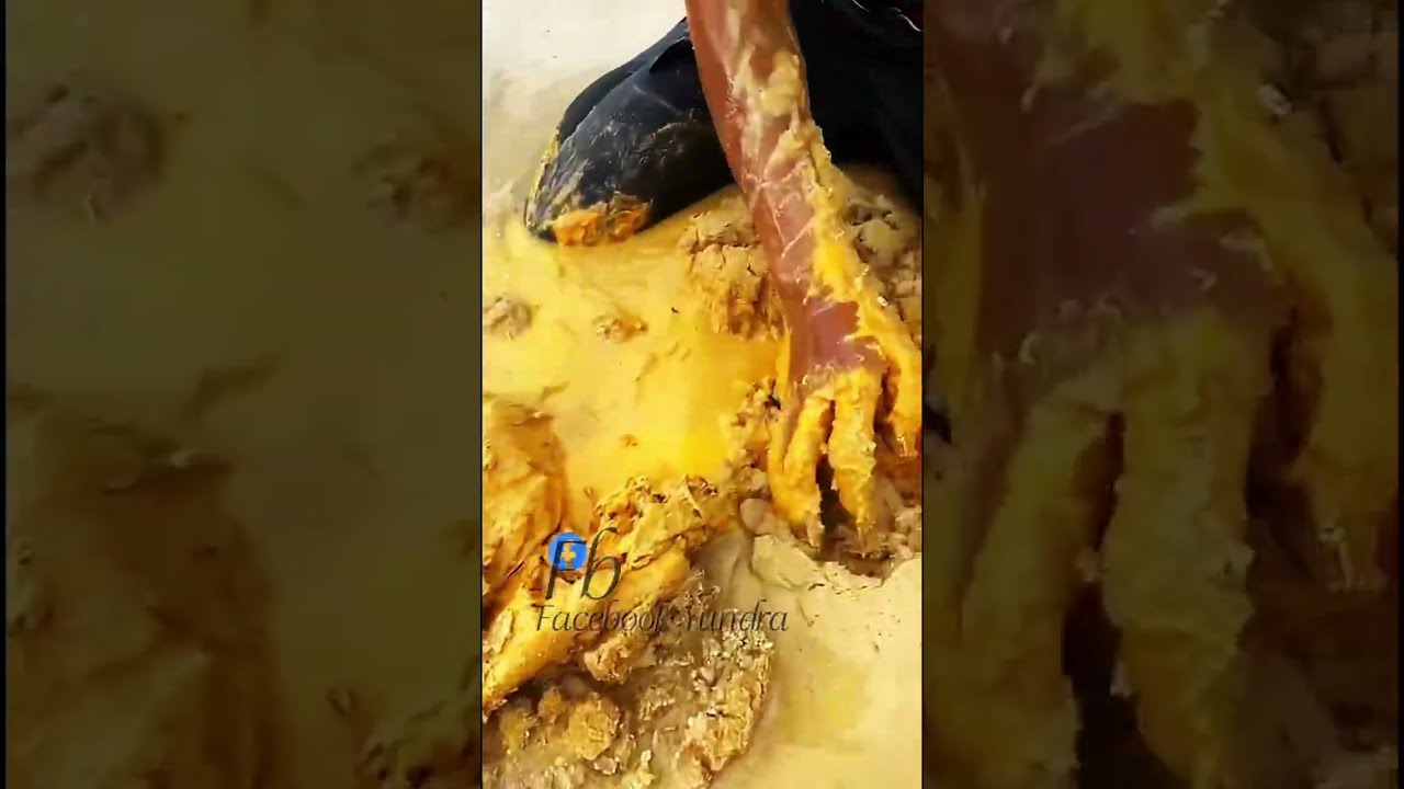 The Process Of Finding Gold In Bedrock Fragments An Amazing 2500