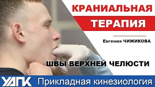 Что делать, если первопричина в швах челюсти? Разбор и коррекция (Евгения Чижикова)