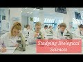 Studying biological sciences