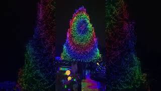 Christmas Tree at Toledo Zoo by Jacob G. Witmer 40 views 2 years ago 1 minute, 16 seconds