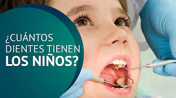¿Cuántos dientes tiene un niño?